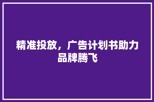 精准投放，广告计划书助力品牌腾飞