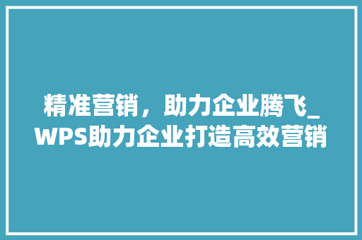 精准营销，助力企业腾飞_WPS助力企业打造高效营销计划