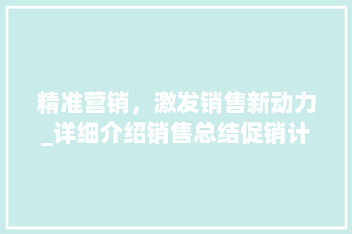 精准营销，激发销售新动力_详细介绍销售总结促销计划