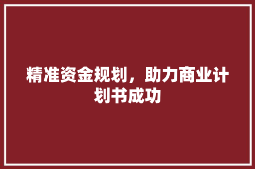 精准资金规划，助力商业计划书成功