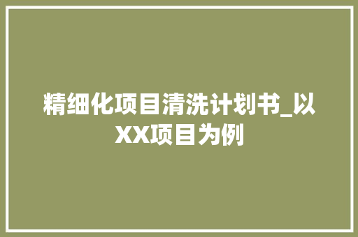 精细化项目清洗计划书_以XX项目为例