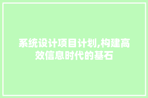 系统设计项目计划,构建高效信息时代的基石