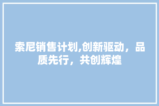 索尼销售计划,创新驱动，品质先行，共创辉煌