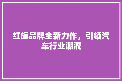 红旗品牌全新力作，引领汽车行业潮流 致辞范文