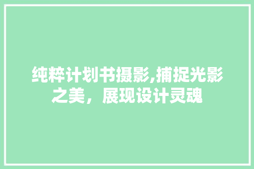 纯粹计划书摄影,捕捉光影之美，展现设计灵魂