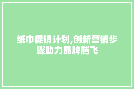 纸巾促销计划,创新营销步骤助力品牌腾飞