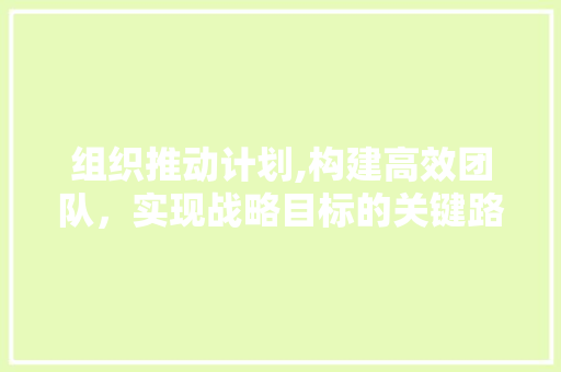 组织推动计划,构建高效团队，实现战略目标的关键路径