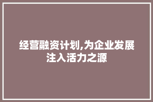 经营融资计划,为企业发展注入活力之源