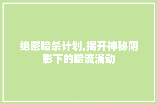 绝密暗杀计划,揭开神秘阴影下的暗流涌动