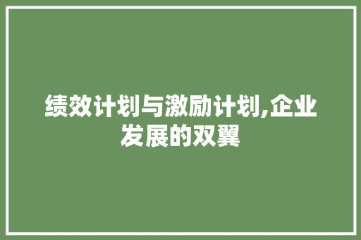 绩效计划与激励计划,企业发展的双翼