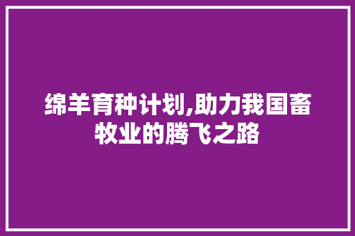 绵羊育种计划,助力我国畜牧业的腾飞之路