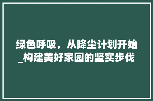 绿色呼吸，从降尘计划开始_构建美好家园的坚实步伐