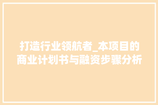 打造行业领航者_本项目的商业计划书与融资步骤分析