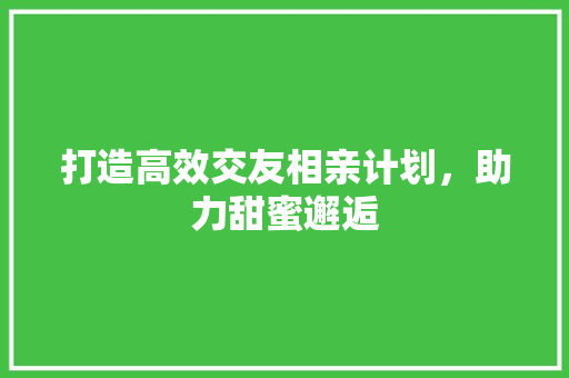 打造高效交友相亲计划，助力甜蜜邂逅