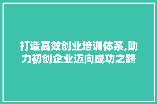 打造高效创业培训体系,助力初创企业迈向成功之路