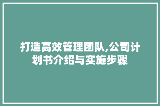 打造高效管理团队,公司计划书介绍与实施步骤