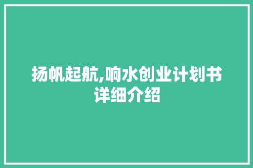 扬帆起航,响水创业计划书详细介绍