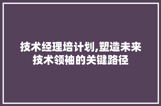 技术经理培计划,塑造未来技术领袖的关键路径