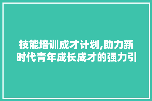 技能培训成才计划,助力新时代青年成长成才的强力引擎