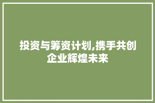 投资与筹资计划,携手共创企业辉煌未来