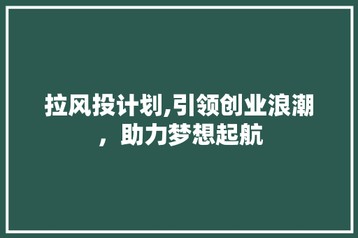 拉风投计划,引领创业浪潮，助力梦想起航