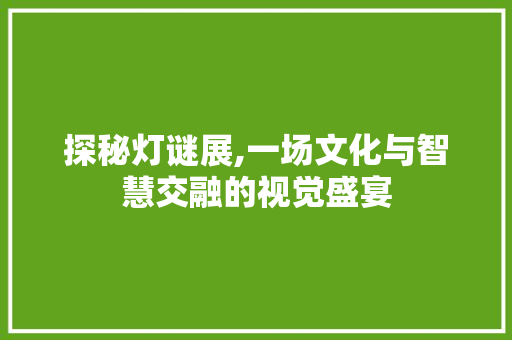 探秘灯谜展,一场文化与智慧交融的视觉盛宴