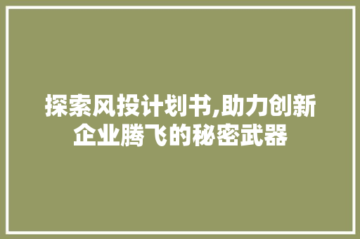 探索风投计划书,助力创新企业腾飞的秘密武器