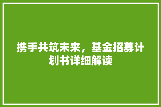 携手共筑未来，基金招募计划书详细解读