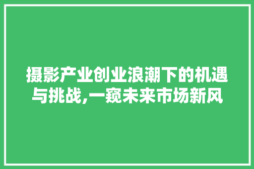 摄影产业创业浪潮下的机遇与挑战,一窥未来市场新风向