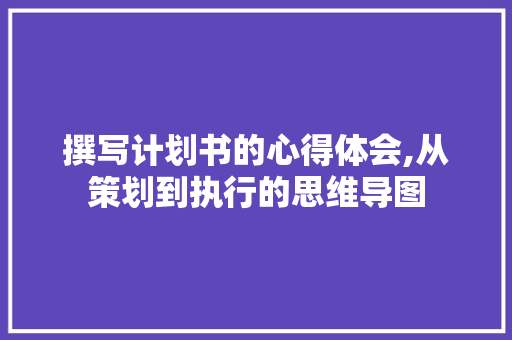 撰写计划书的心得体会,从策划到执行的思维导图