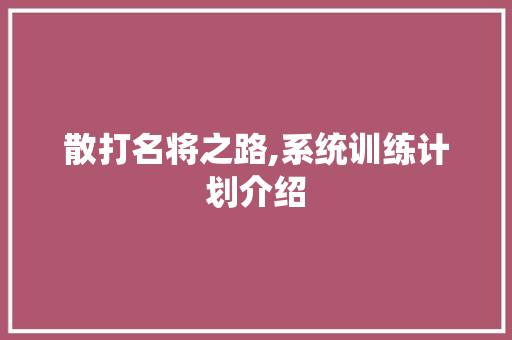 散打名将之路,系统训练计划介绍