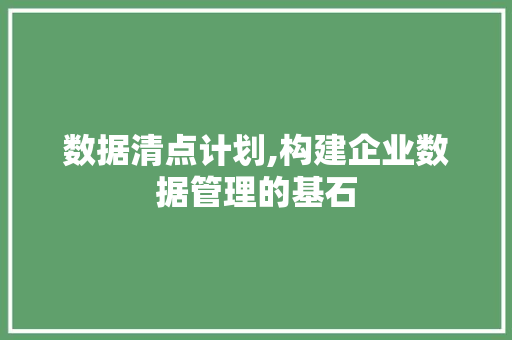 数据清点计划,构建企业数据管理的基石