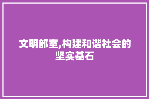 文明部室,构建和谐社会的坚实基石