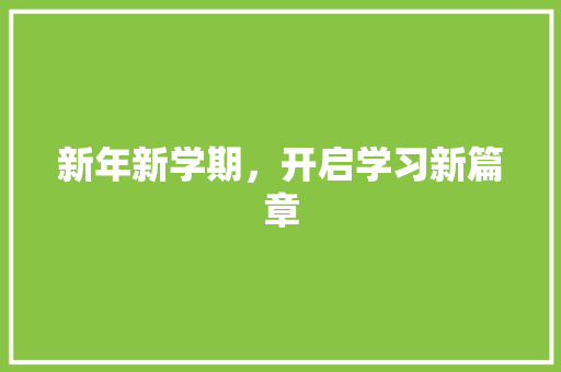 新年新学期，开启学习新篇章