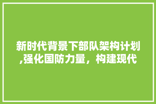 新时代背景下部队架构计划,强化国防力量，构建现代军事体系