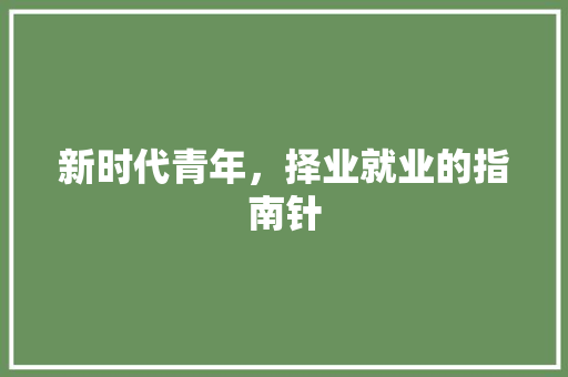 新时代青年，择业就业的指南针