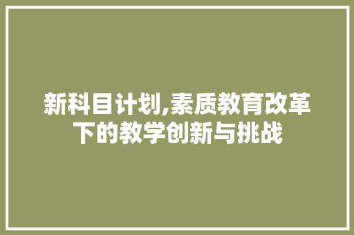 新科目计划,素质教育改革下的教学创新与挑战