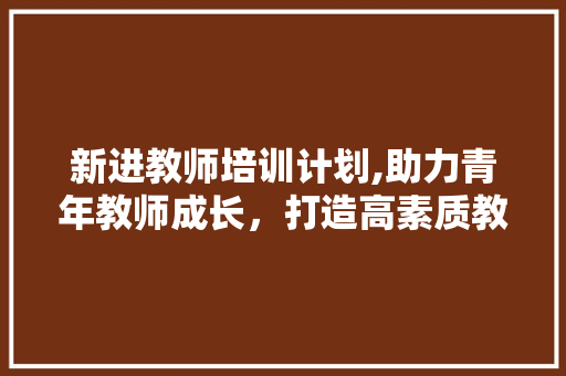 新进教师培训计划,助力青年教师成长，打造高素质教师队伍