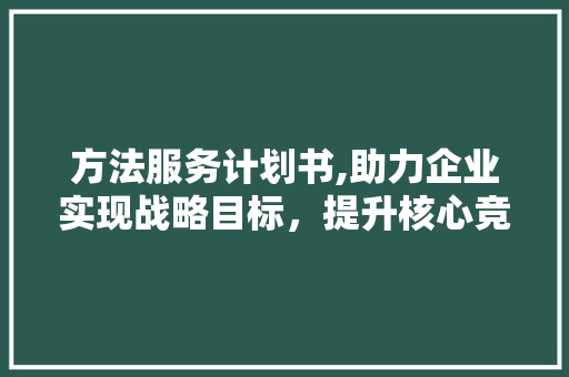 方法服务计划书,助力企业实现战略目标，提升核心竞争力