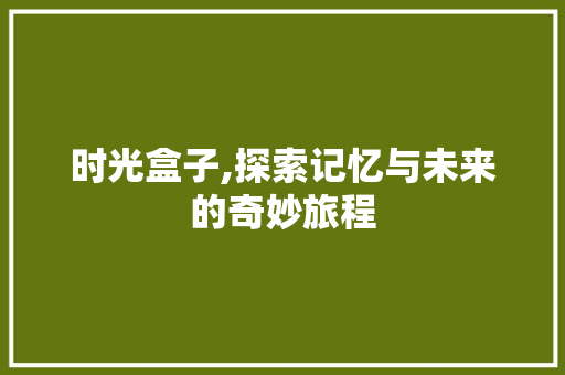 时光盒子,探索记忆与未来的奇妙旅程