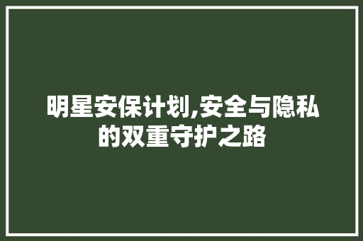 明星安保计划,安全与隐私的双重守护之路