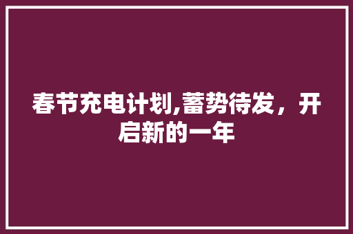 春节充电计划,蓄势待发，开启新的一年