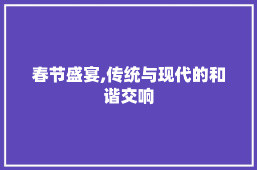 春节盛宴,传统与现代的和谐交响