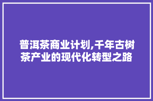 普洱茶商业计划,千年古树茶产业的现代化转型之路