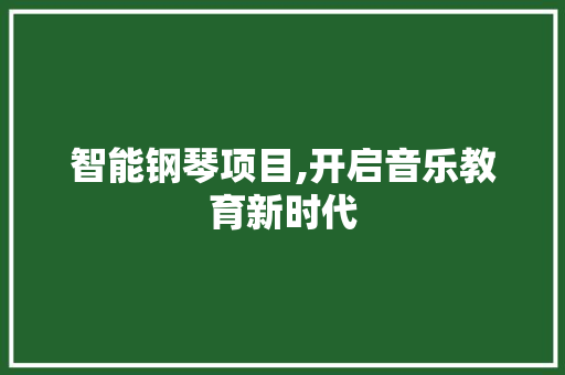 智能钢琴项目,开启音乐教育新时代