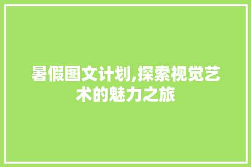 暑假图文计划,探索视觉艺术的魅力之旅