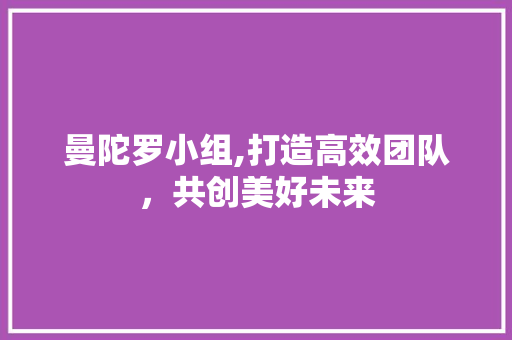 曼陀罗小组,打造高效团队，共创美好未来