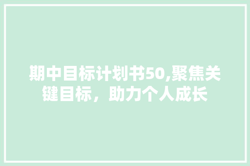 期中目标计划书50,聚焦关键目标，助力个人成长