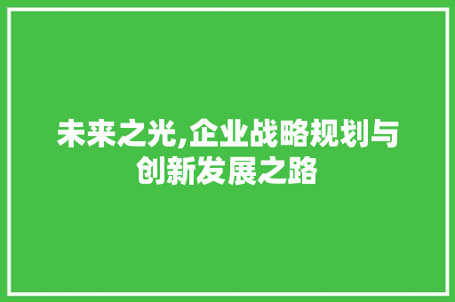 未来之光,企业战略规划与创新发展之路