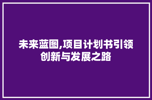 未来蓝图,项目计划书引领创新与发展之路